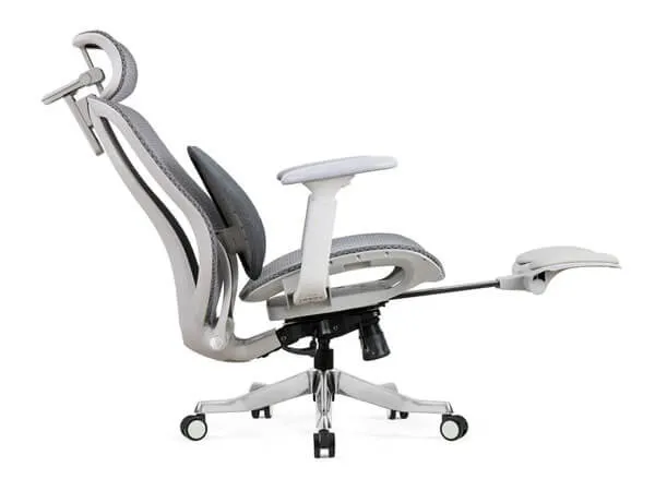 Ergonomic Mesh Office Chairs