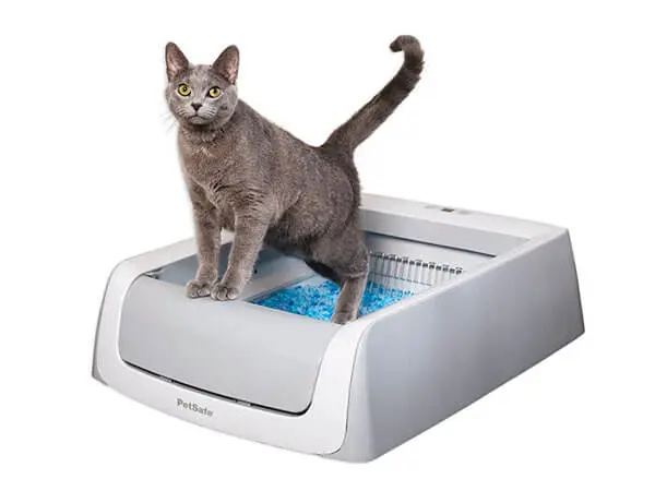 Automatic Self-Cleaning Litter Boxes