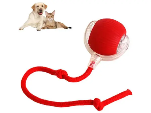 Interactive Smart Pet Balls
